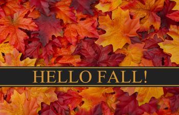 Hello Fall !